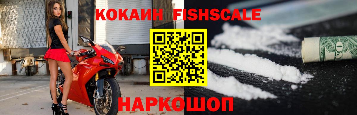 COCAIN  Cocaine Fish Scale  Вход с VPN  Карталы 