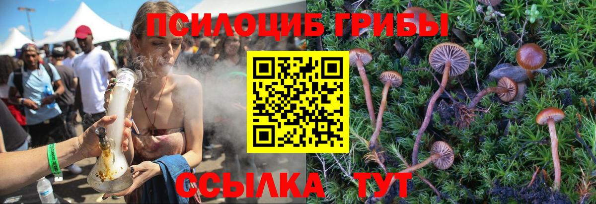 Псилоцибиновые грибы мухоморы Карталы