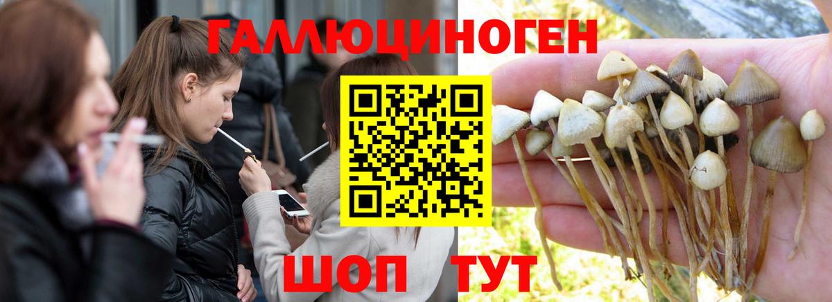Галлюциногенные грибы Cubensis  Вход с VPN  Карталы  Галлюциногенные грибы GOLDEN TEACHER 